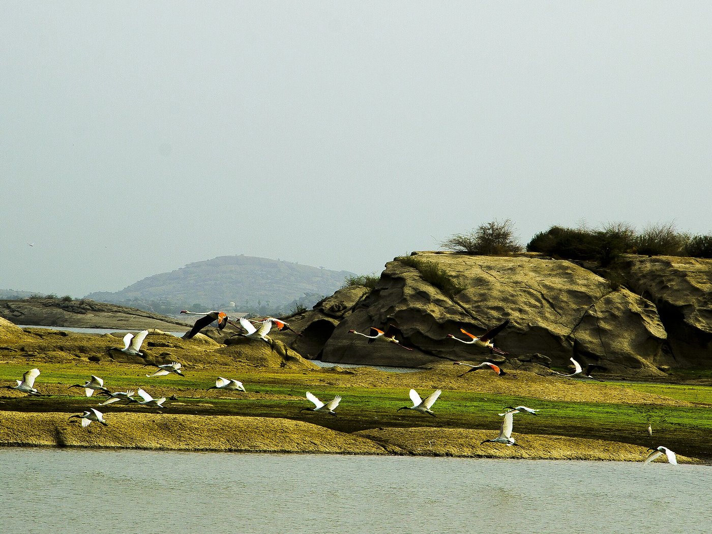 Jawai Bandh lake water body with surrounding rock hills
